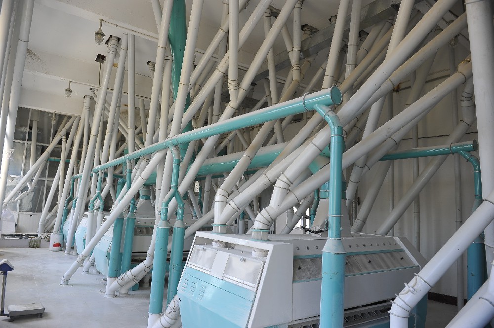 食品工廠新風貌，醇酸工業高光磁漆引領安全升級