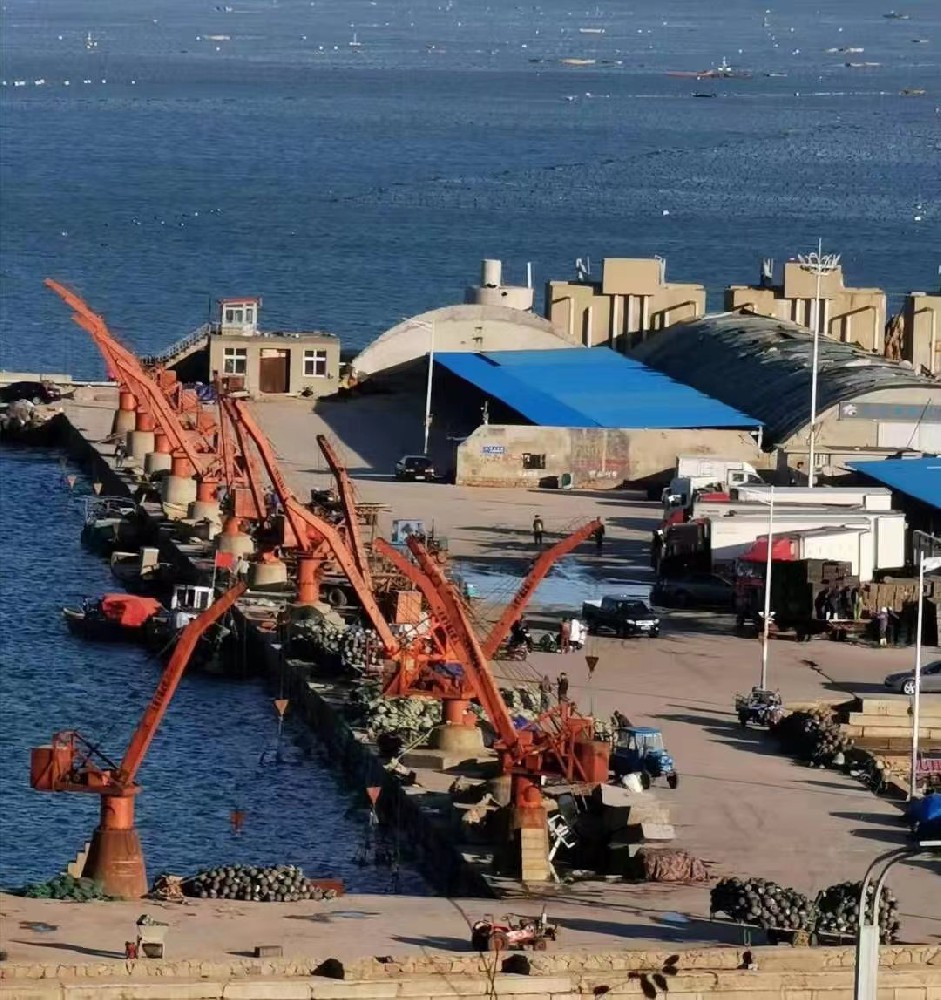 構建市場安全防護網，護航經銷商共贏之路